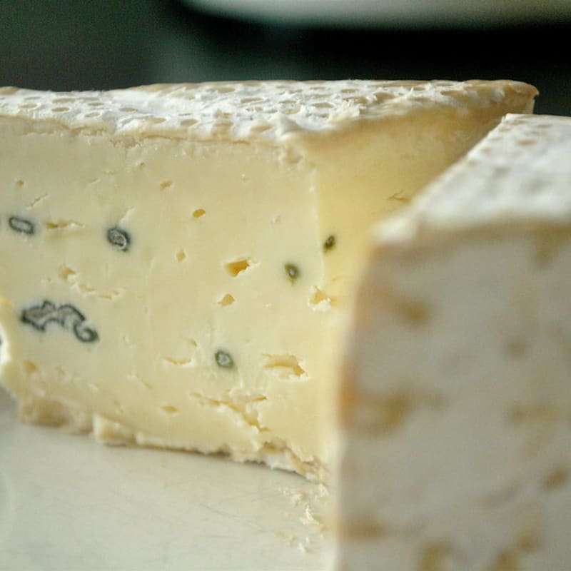 Cheddar Cheese