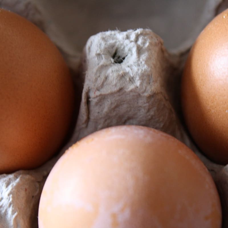 Free-Range Eggs