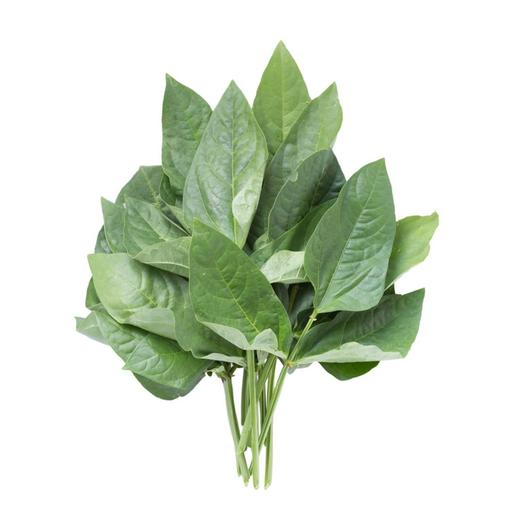Fresh Kunde