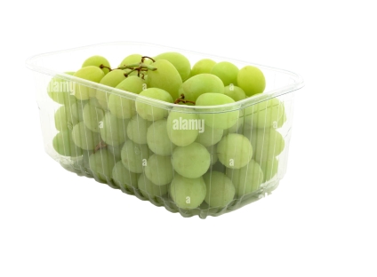 Green Seedless Grapes