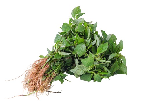 Local African Amaranth (Terere)