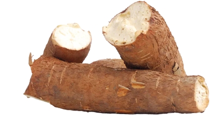 Local Cassava