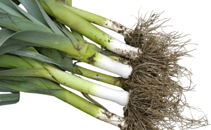 Local Leeks