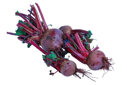 Medium Beetroot