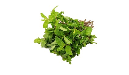 Mint Leaves