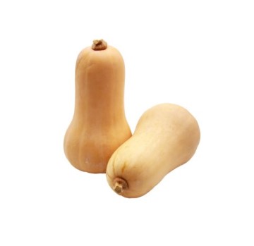 Mixed Sizes Butternut