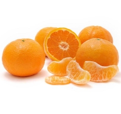 Pixie Fruit