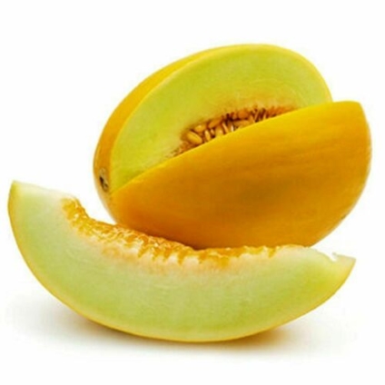 Sweet Melon
