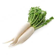 White Radish
