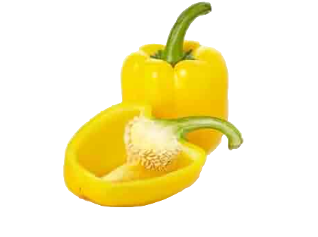 Yellow Capsicum (Hoho)