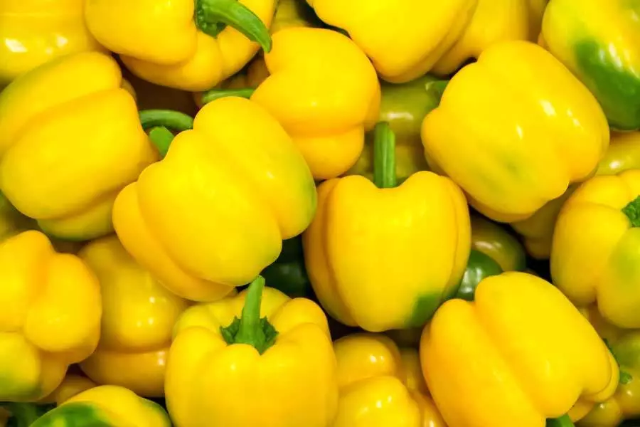Yellow Capsicum (Hoho)
