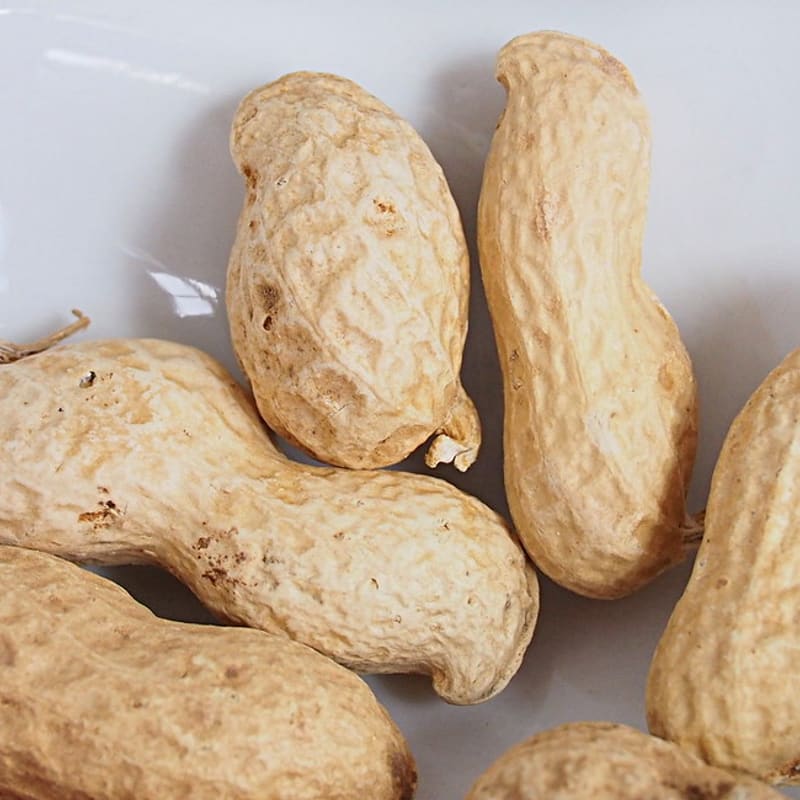 Roasted Peanuts