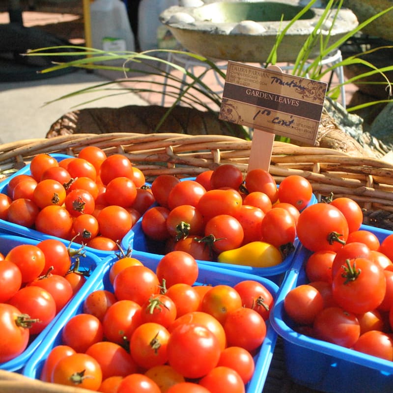 Tomatoes